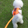 Wholesale Custom Logo Breathable Pet Harness