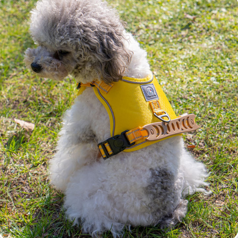 Wholesale Custom Logo Breathable Pet Harness