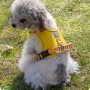 Wholesale Custom Logo Breathable Pet Harness