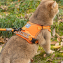 Wholesale Custom Logo Breathable Pet Harness