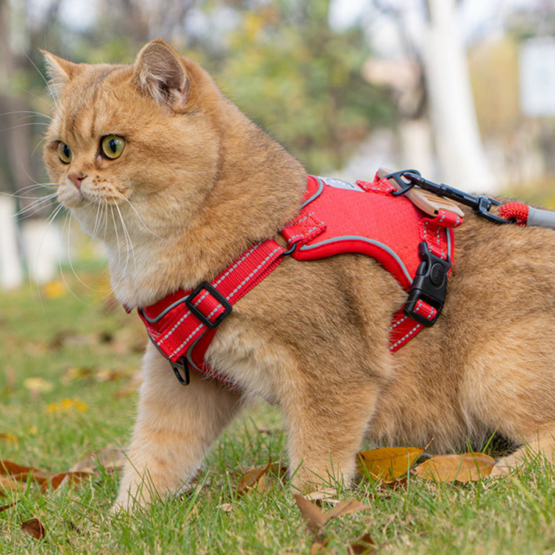 Wholesale Custom Logo Breathable Pet Harness