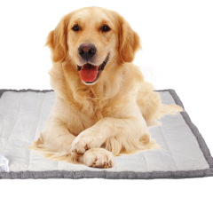 Manufacturer Wholesale Custom Logo Foldable Outdoor Pet Dog Cushion
