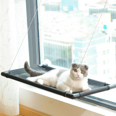 Manufacturer wholesale high load capacity sucker hanging window cat hammock
