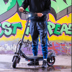 New Design Model 500 Watt 10 Inch Moto Fold Elektrkli Electro Scoter E-scooter E Electrique Electric Scooter Electrico 500w