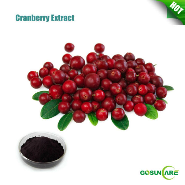 Natural Anthocyanins 25% HPLC from Cranberry P.E.