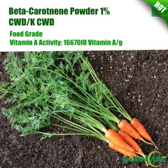 Beta-Carotnene Powder 1% CWD/K CWD 16670