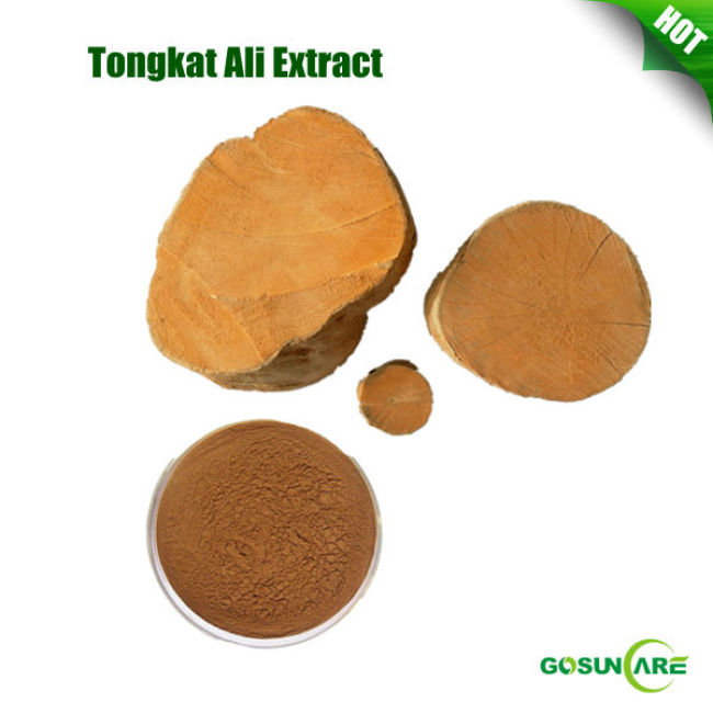 Tongkat Ali Extract/Natural Sex Herb Medicine