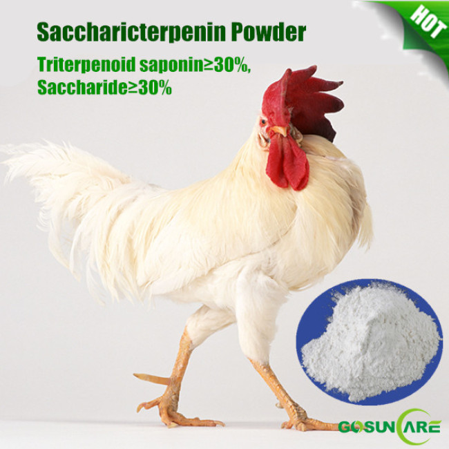 High Quality Feed Grade Saccharicterpenin Powder Immunity Enhancer