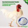 High Quality Feed Grade Saccharicterpenin Powder Immunity Enhancer