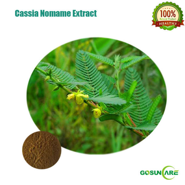 Soluble Cassia Nomame Extract