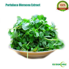 100% Natural 5:1Portulaca Oleracea P.E/Portulaca Oleracea Extract