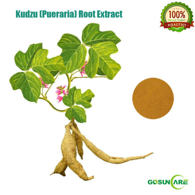 Natural Kudzu Root Extract / Pueraria Root Extract Powder