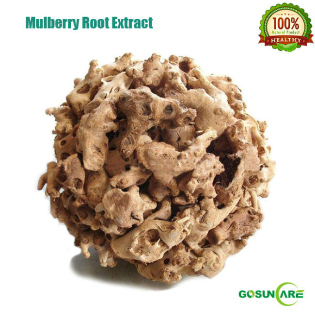 White Mulberry Root Extract