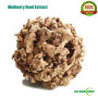 White Mulberry Root Extract