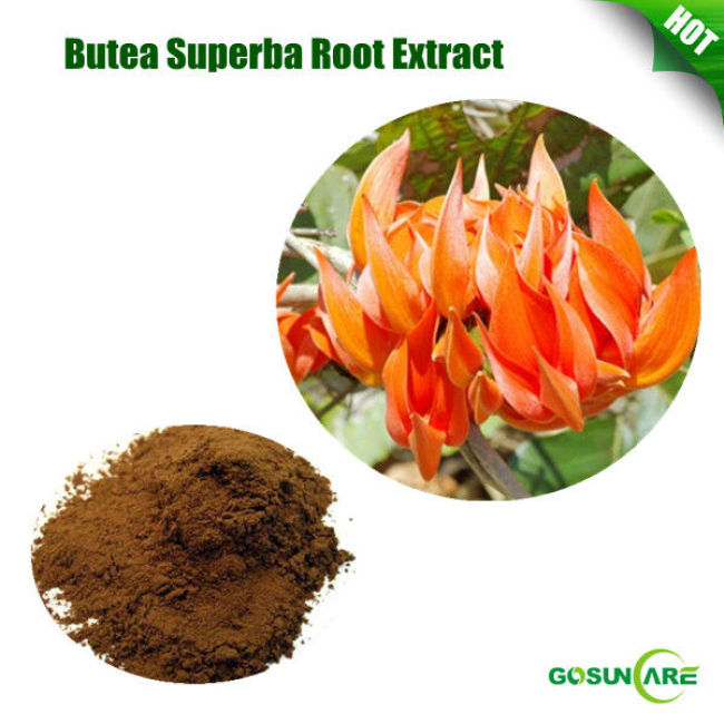 Butea Superba Root Extract 5:1 10:1 20:1