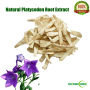 Natural Platycodon Root Extract 10:1