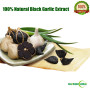 100% Natural Black Garlic Extract 10:1