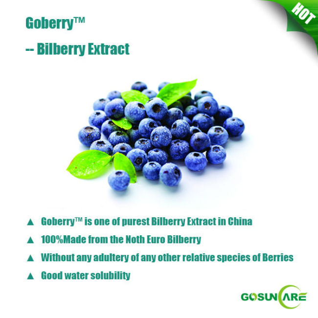The Purest Bilberry P.E. In China