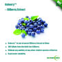 The Purest Bilberry P.E. In China