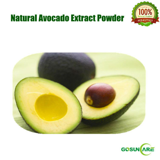 100% Natural Avocado Extract Powder 4:1,10:1,20:1
