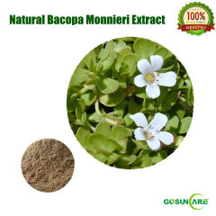 100% Natural Bacopa Monnieri Extract 10:1 20:1