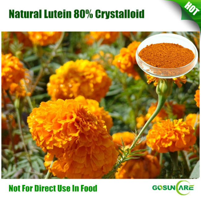 Natural Lutein Crystalloid 80%