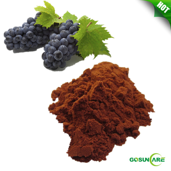 GOSUN Grape Skin Extract Powder