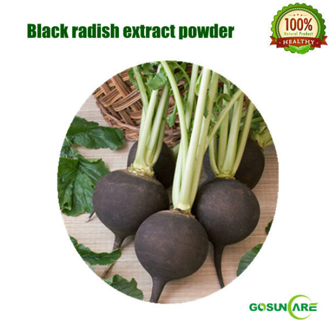 100% Natural Black Radish Extract Powder 10:1