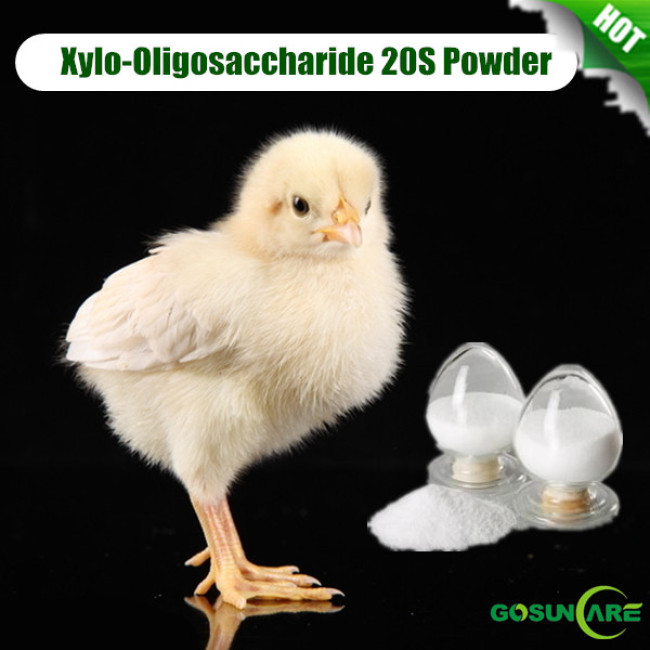 High Quality Feed Grade Xylo-Oligosaccharide 20S Powder
