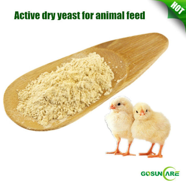 High Quality Active Dry Yeast For Animal Feed