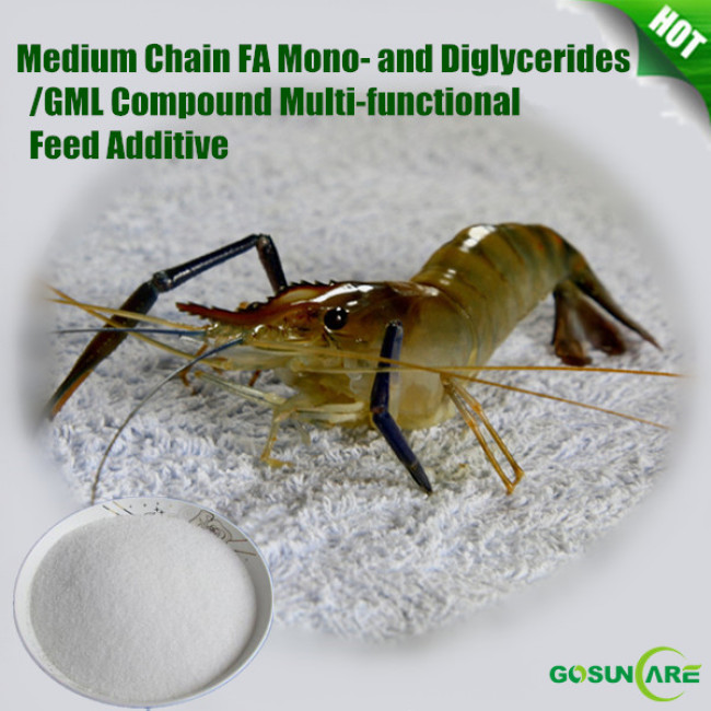 Medium Chain FA Mono- and Diglycerides / GML Compound Multi-functional Feed Additive For Shrimp