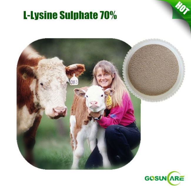 L Lysine Sulphate 70% Feed Grade