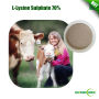 L Lysine Sulphate 70% Feed Grade