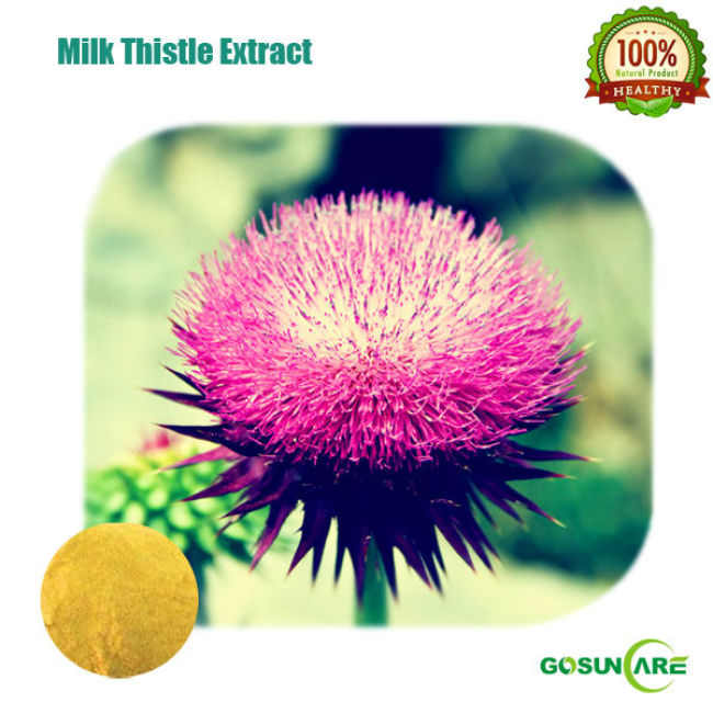 Water Soluble Milk Thistle Extract