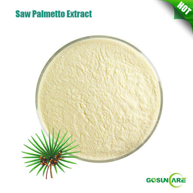 100% natural Saw Palmetto Extract Powder