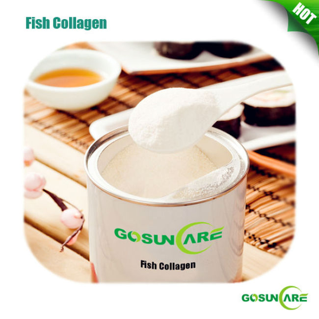 98% Protein From Pure Collagen