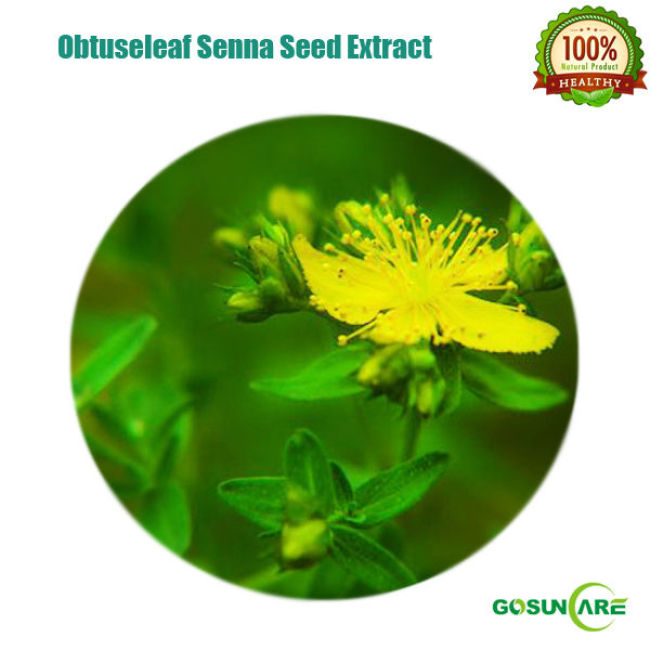 Natural Organic Semen Cassiae Extract/Cassia Seed Extract
