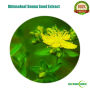 Natural Organic Semen Cassiae Extract/Cassia Seed Extract