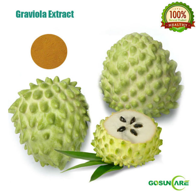100% Natural Graviola Extract/Graviola P.E.