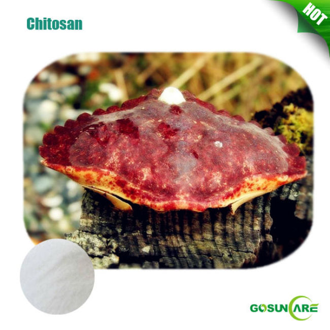 High Quality Chitosan 90%