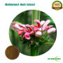 Natural Motherwort Herb P.E. / Motherwort Herb Extract Powder