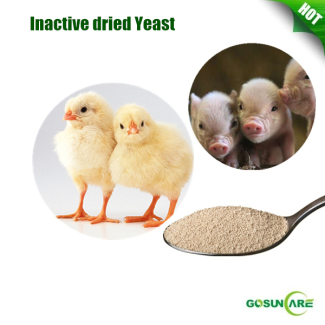 The Highest Quality Inactive Dried Yeast Feed Grade(Baker Yeast)