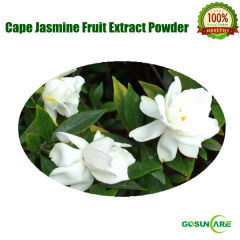 100% Natural Cape Jasmine Fruit Extract Powder 10:1