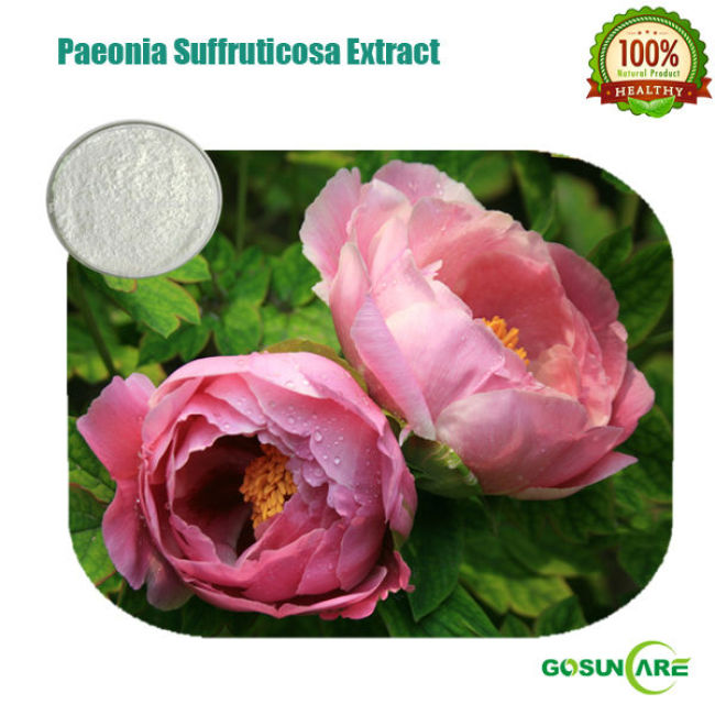 Pure Paeonia Suffruticosa Extract Natural Paeonol 99%