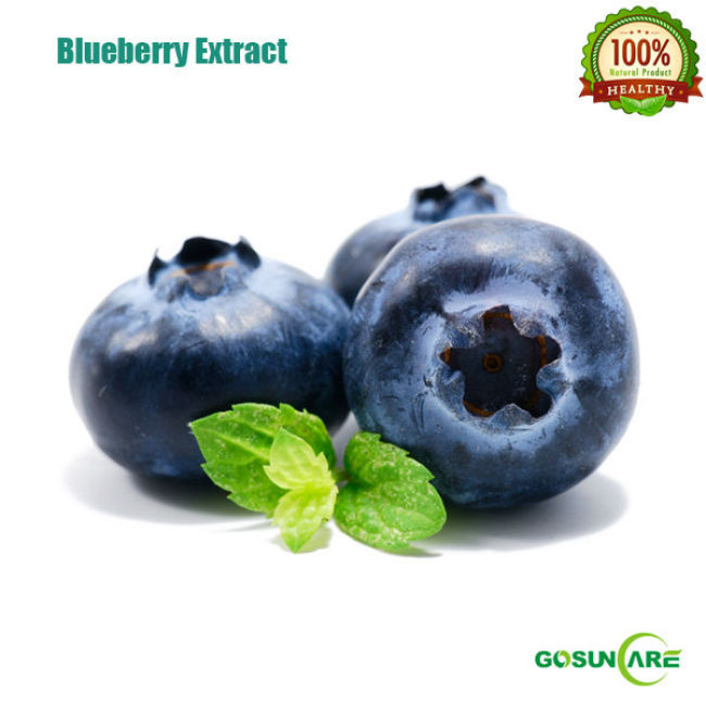 Natural 10:1 Blueberry Extract
