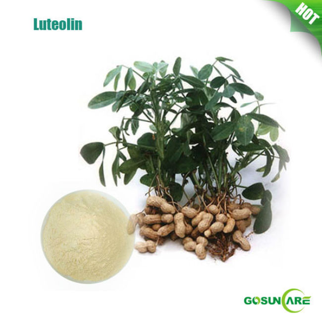Arachis Extract Natural Luteolin CAS NO 491-70-3