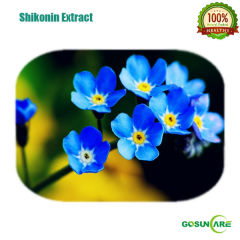100% Natural 5:1 10:1 Shikonin Extract