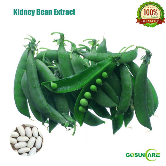 Organic White Kidney Bean Extract / Kidney Bean P.E.