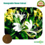 Honegsukle Flower P.E. / Honegsukle Flower Extract Powder