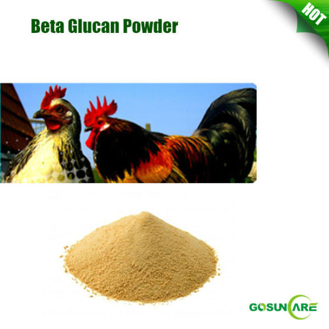 Feed Grade Beta Glucan Powder